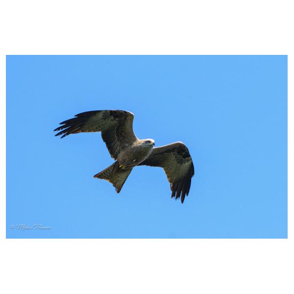 PHOTO84, CLUB, 84 , LUBERON